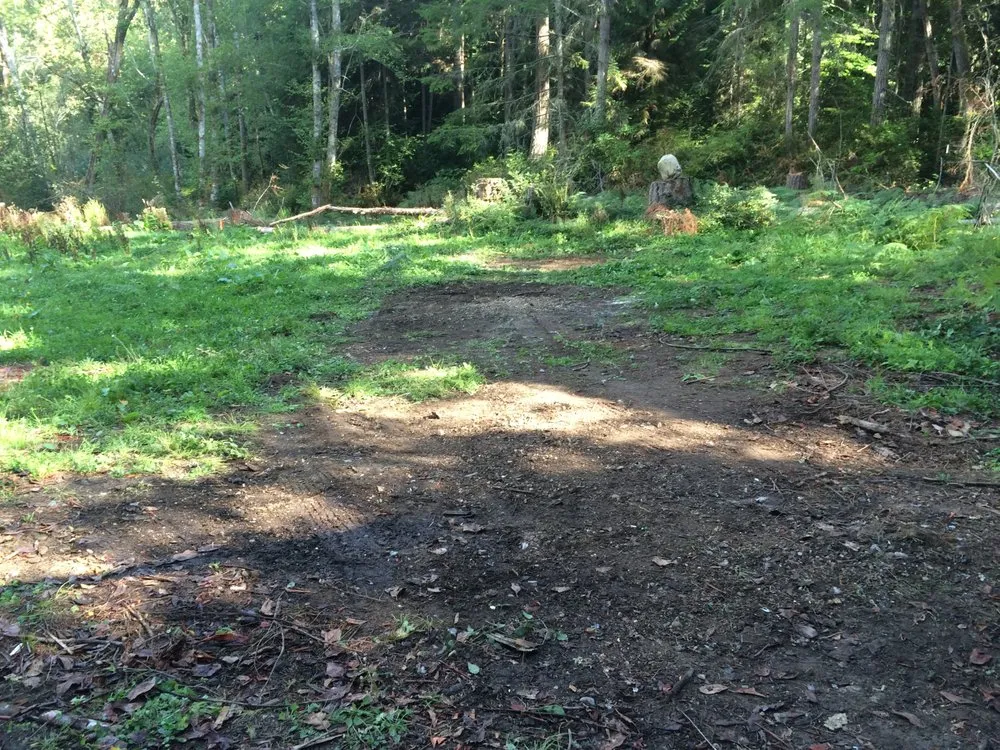 Affordable garden landscaping for residential properties in Belfair, WA by Junk 2 Go