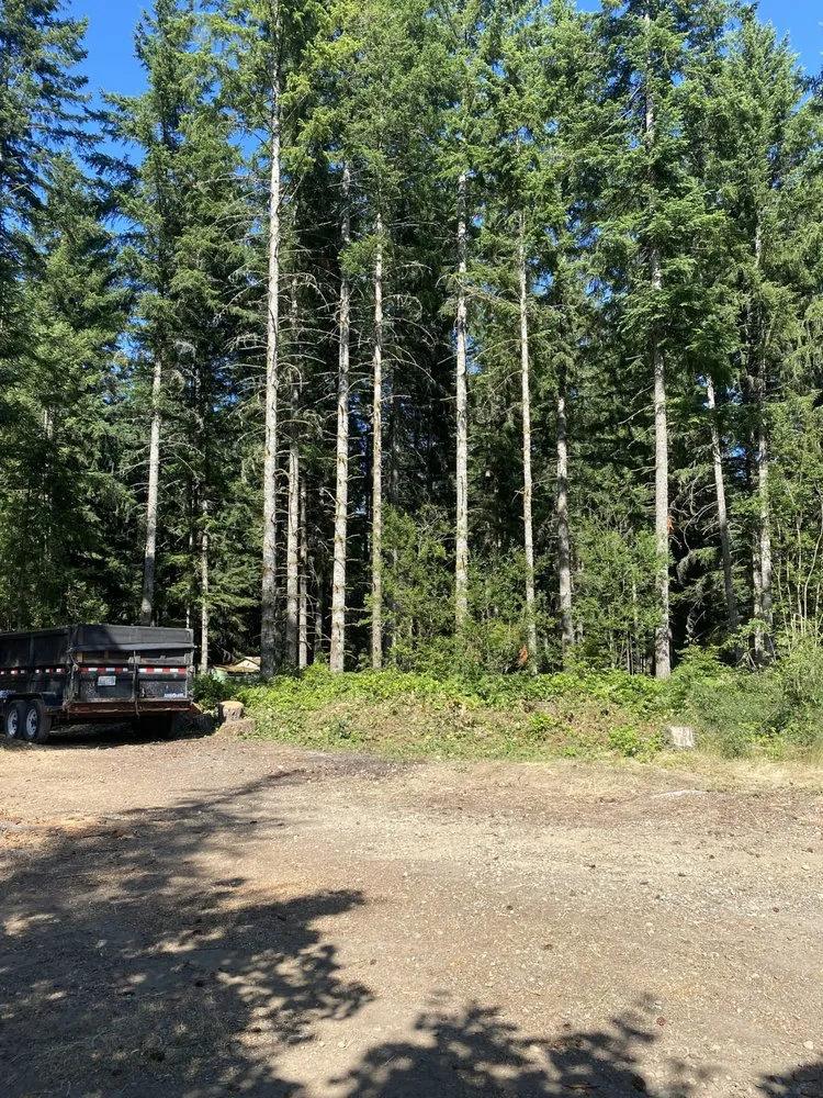 Custom landscape installation in Belfair, WA - Junk 2 Go
