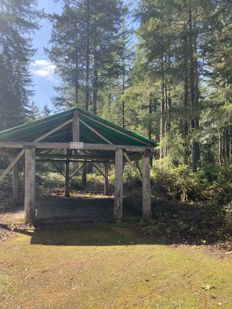 Expert lawn mowing service for year-round maintenance across Belfair, WA - Junk 2 Go