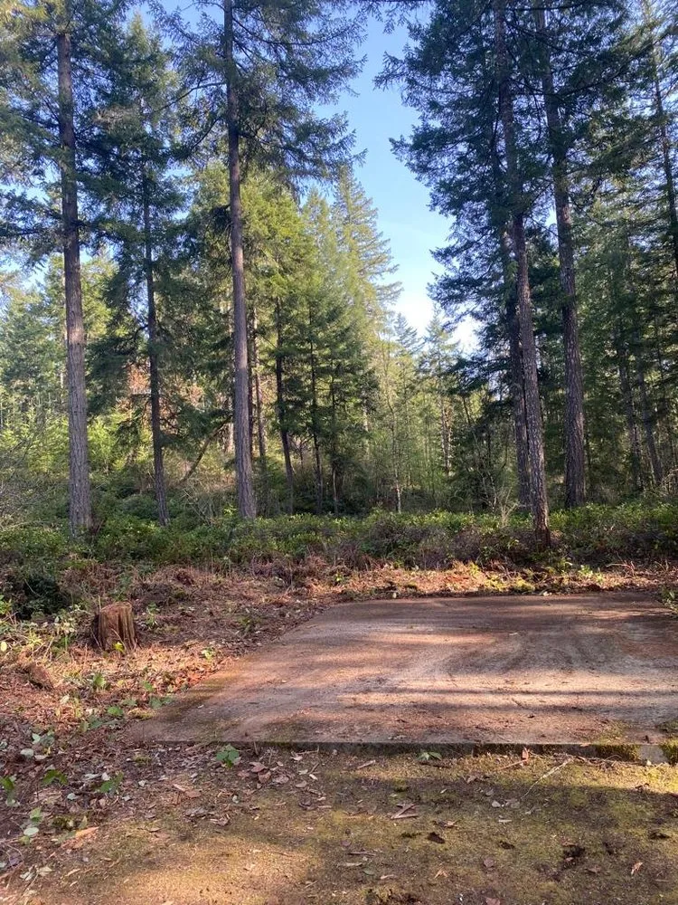 Local lawn care service experts serving Belfair, WA - Junk 2 Go