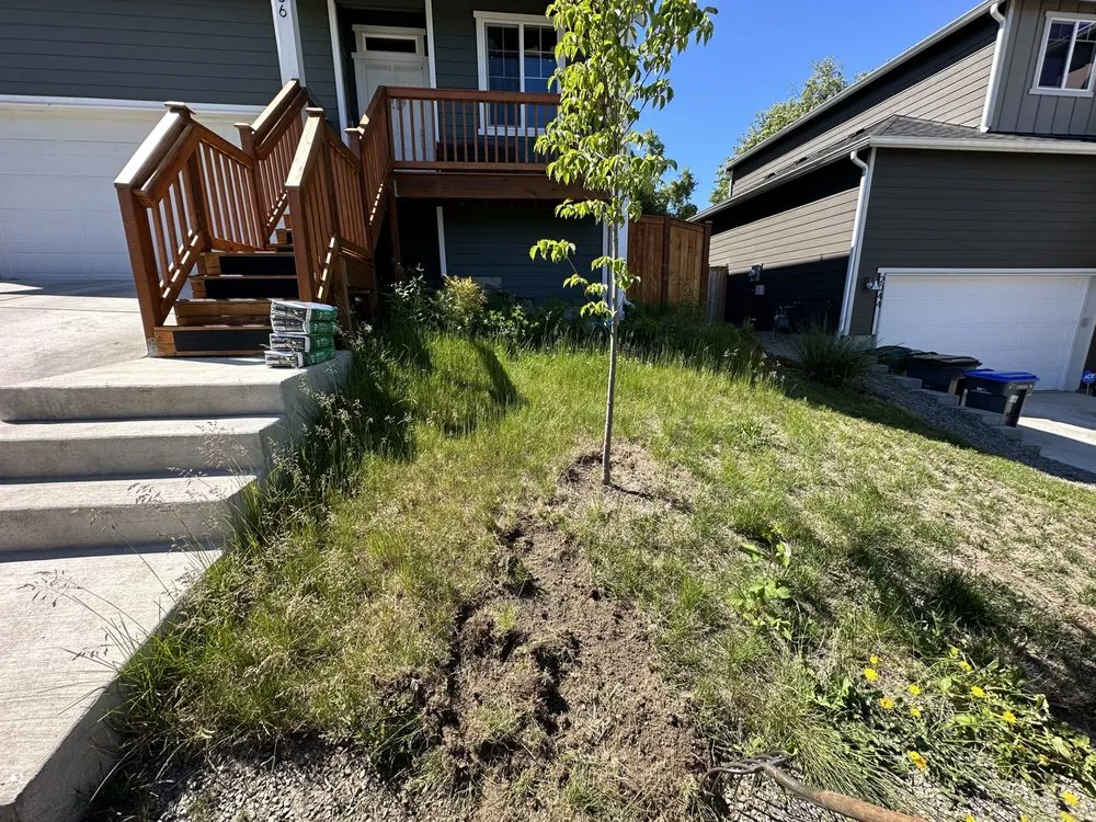 Reliable landscape design experts serving Belfair, WA - Junk 2 Go