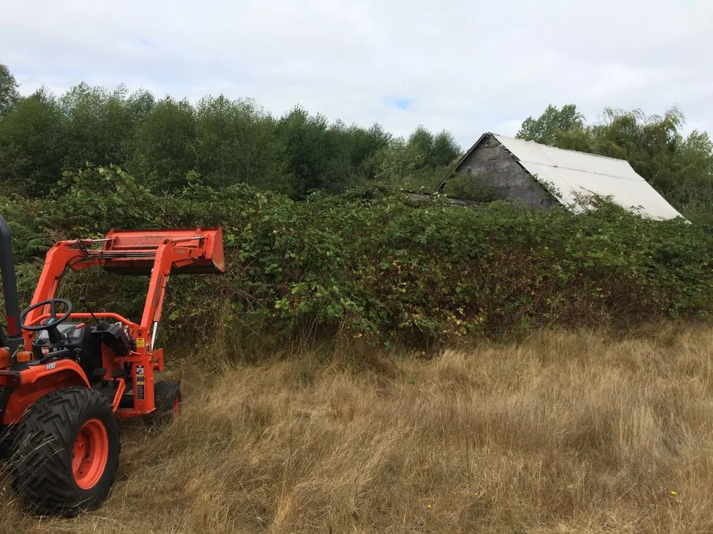 Top-rated yard cleanup service in Belfair, WA by Junk 2 Go