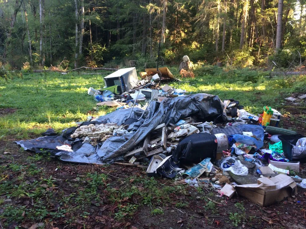 Local yard maintenance in Belfair, WA by Junk 2 Go