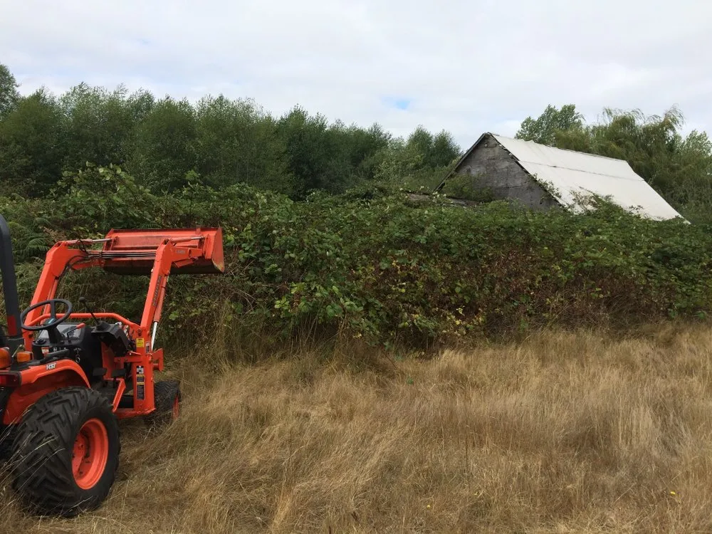 Expert landscaping services in Gig Harbor, WA - Junk 2 Go