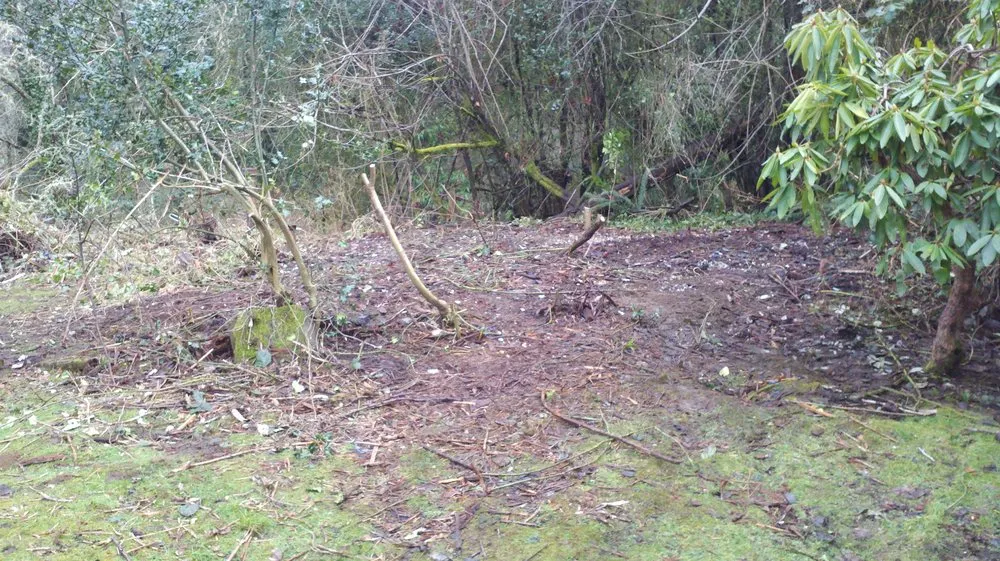 Local landscaping services in Port Orchard, WA - Junk 2 Go