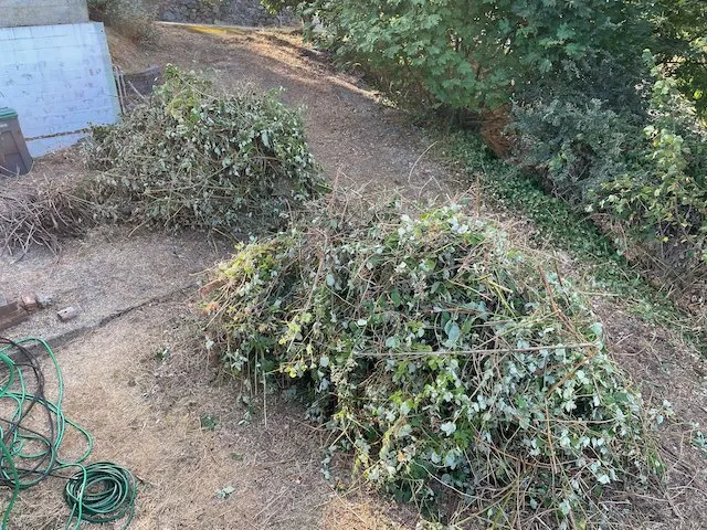 Expert garden landscaping in Port Orchard, WA by Junk 2 Go