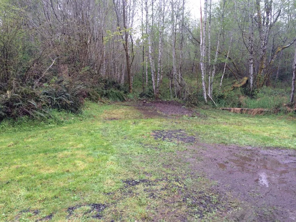 Reliable garden landscaping for outdoor upgrades across Port Orchard, WA - Junk 2 Go