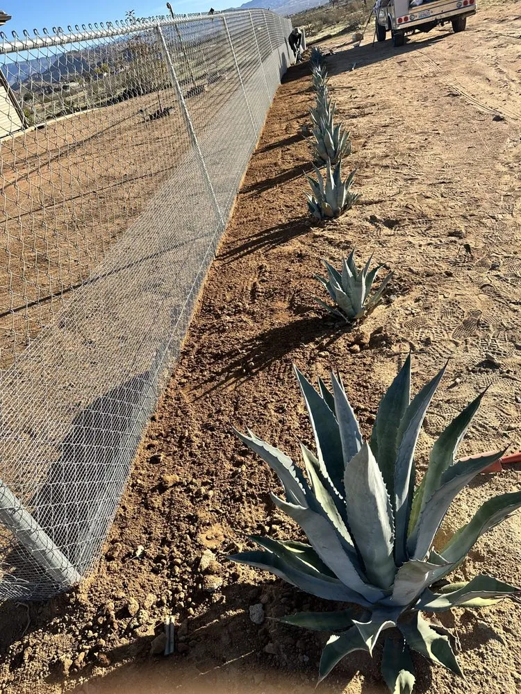 Trusted yard cleanup service experts serving Victorville, CA - Junk and Lawn HD