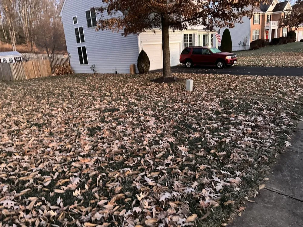 Top-rated yard maintenance near you in Stafford, VA by Junk-Away