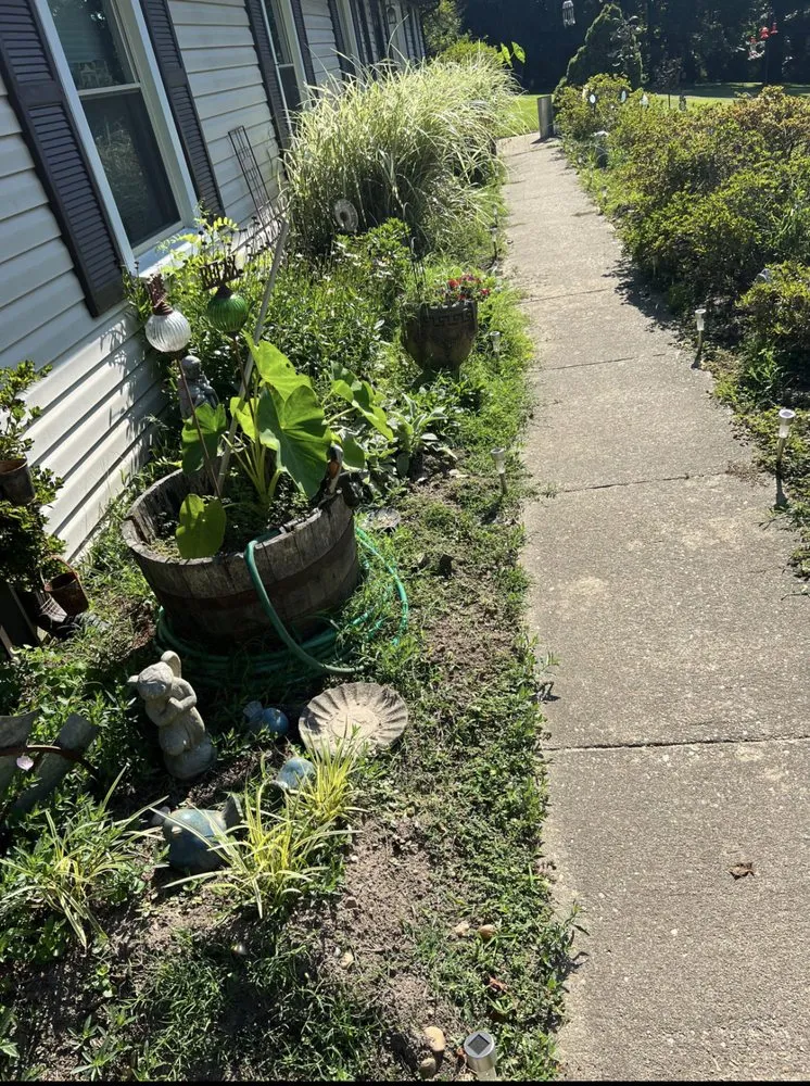 Reliable yard cleanup service with custom design in Stafford, VA by Junk-Away