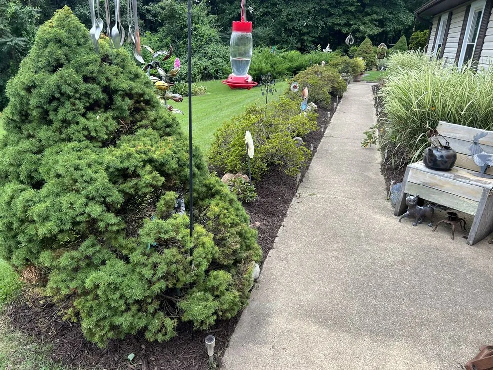 Trusted landscape design in Stafford, VA - Junk-Away