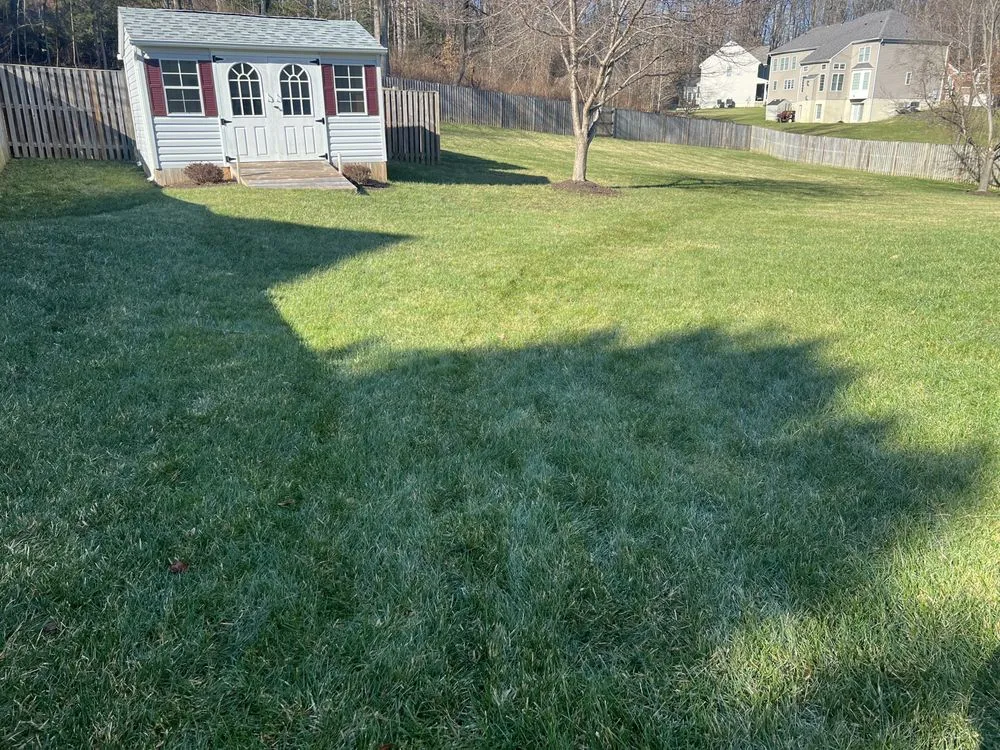 Affordable landscape installation for year-round maintenance in Stafford, VA by Junk-Away
