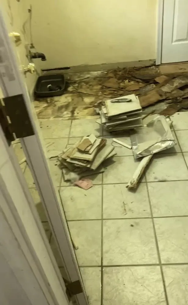 Expert yard cleanup service near you in Stafford, VA by Junk-Away