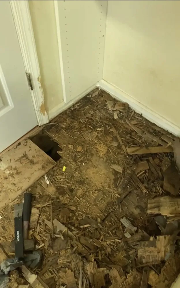 Trusted outdoor landscaping in Stafford, VA - Junk-Away