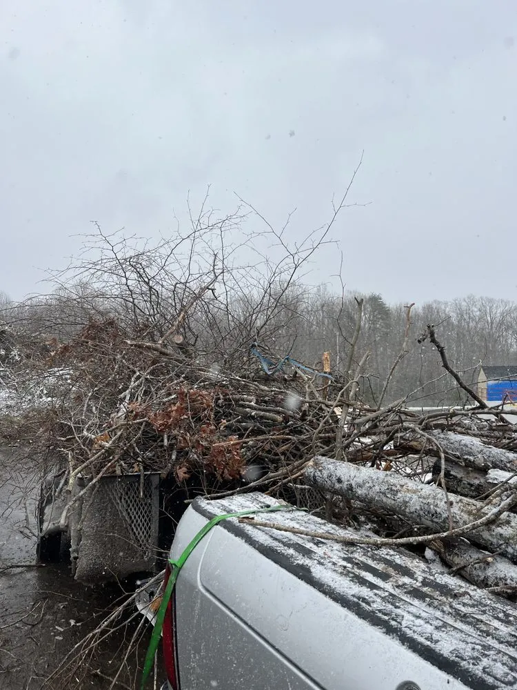 Affordable yard cleanup service for year-round maintenance across Stafford, VA - Junk-Away