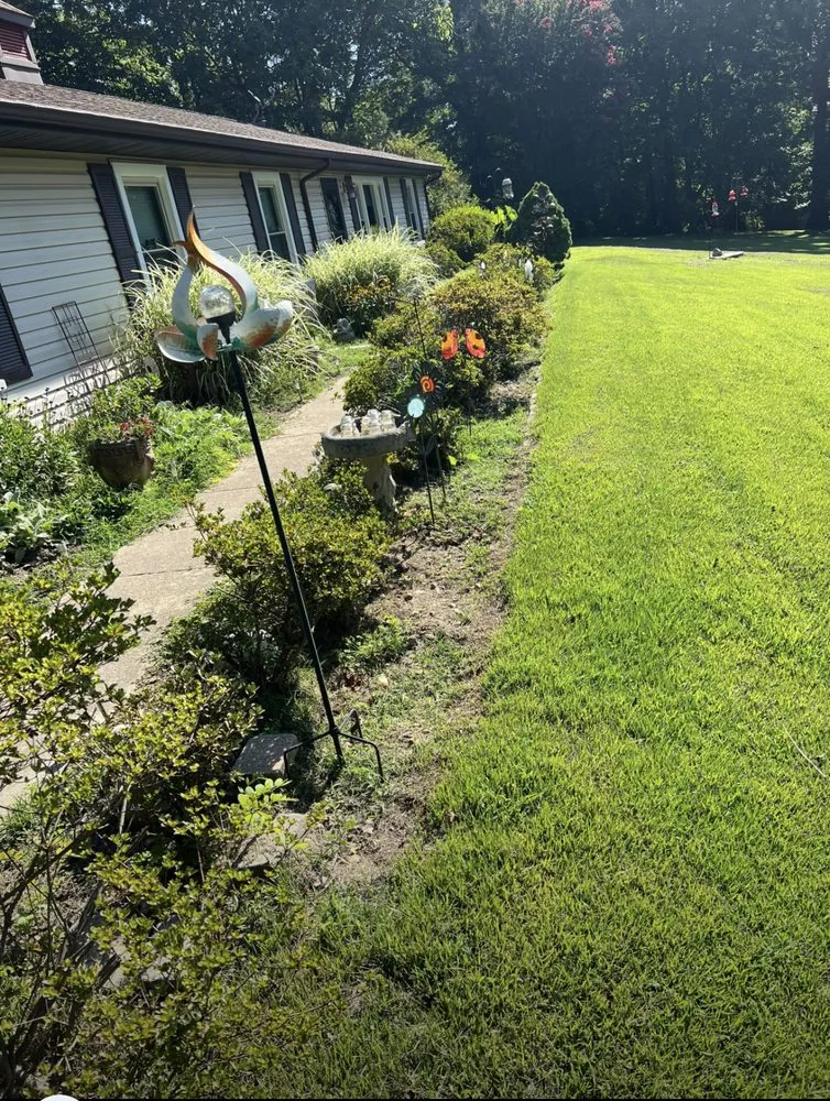 Professional yard cleanup service in Stafford, VA - Junk-Away