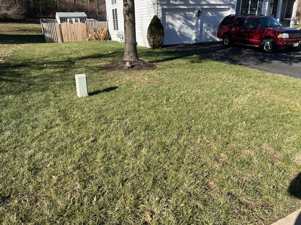 Affordable garden landscaping with custom design across Stafford, VA - Junk-Away