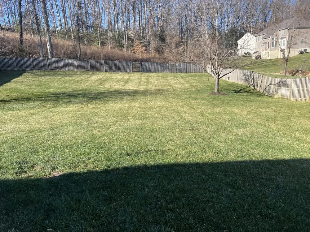 Affordable lawn care service experts serving Stafford, VA - Junk-Away