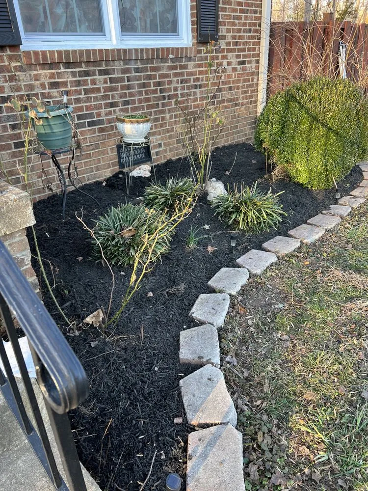 Trusted yard cleanup service for year-round maintenance across Stafford, VA - Junk-Away