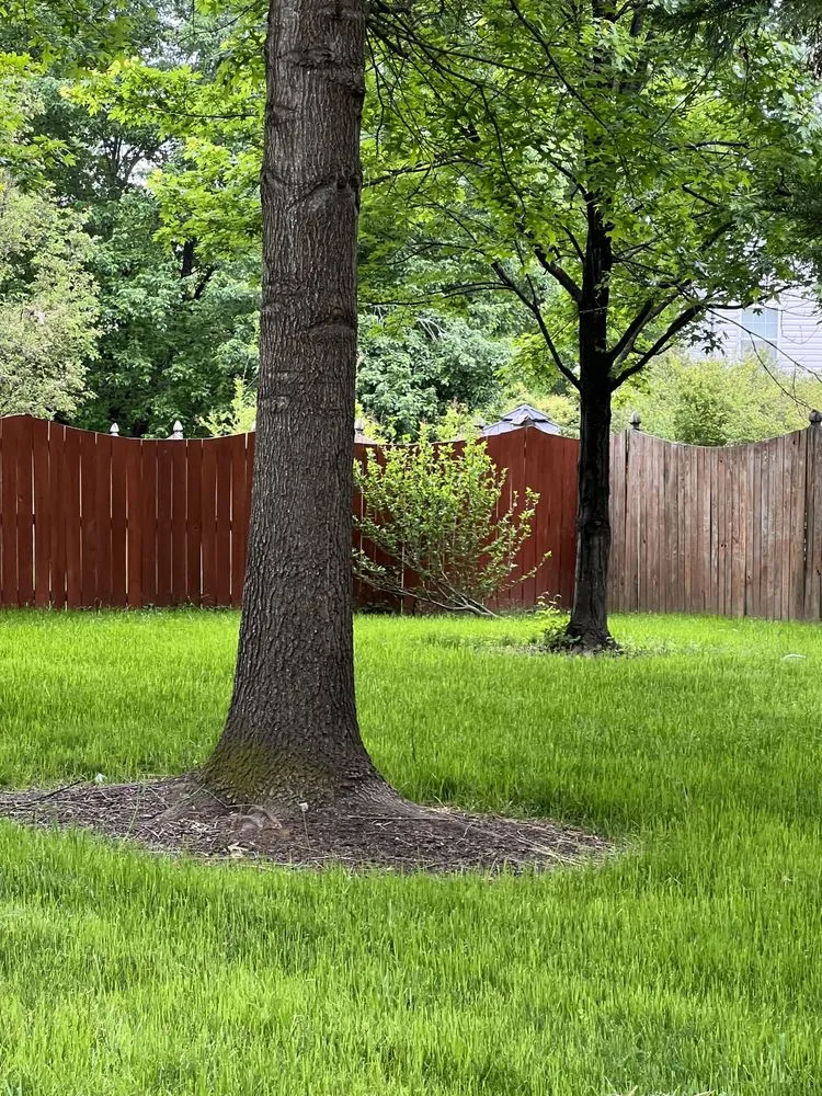 Professional landscape design for homes in Stafford, VA by Junk-Away