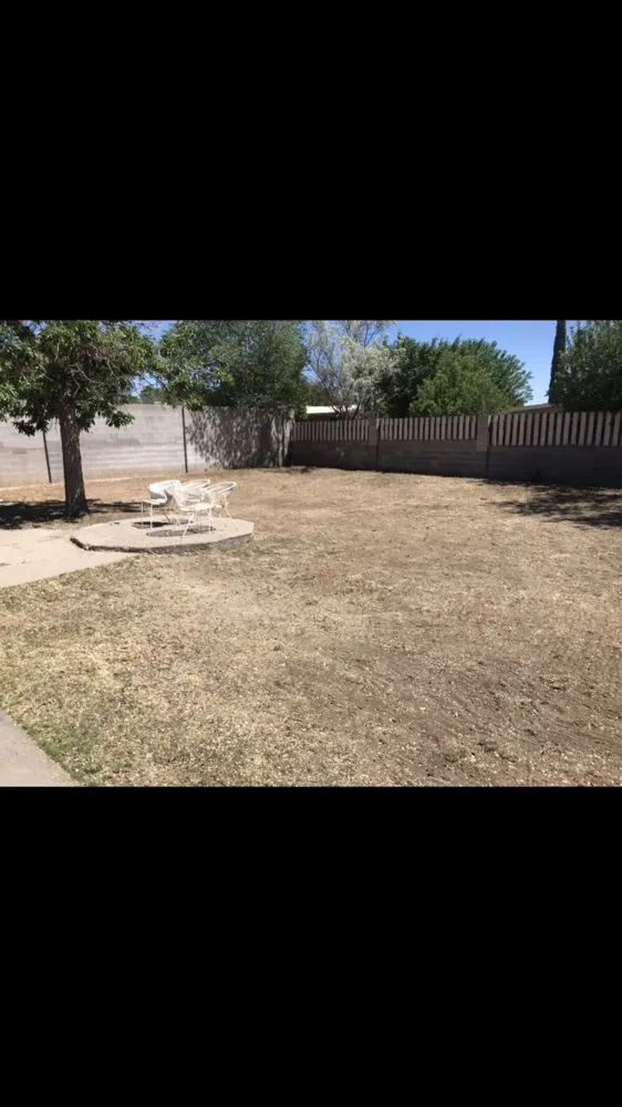 Professional landscape installation in Albuquerque, NM - Junk Brothers Yard Maintenance