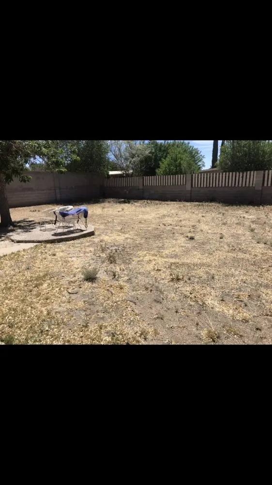 Local lawn mowing service experts serving Albuquerque, NM - Junk Brothers Yard Maintenance