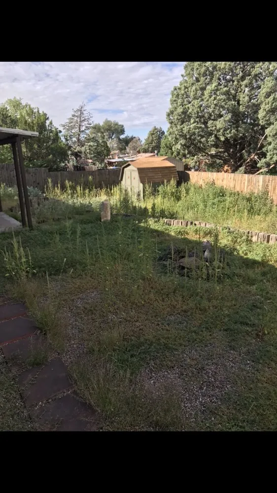 Expert landscaping services experts serving Albuquerque, NM - Junk Brothers Yard Maintenance