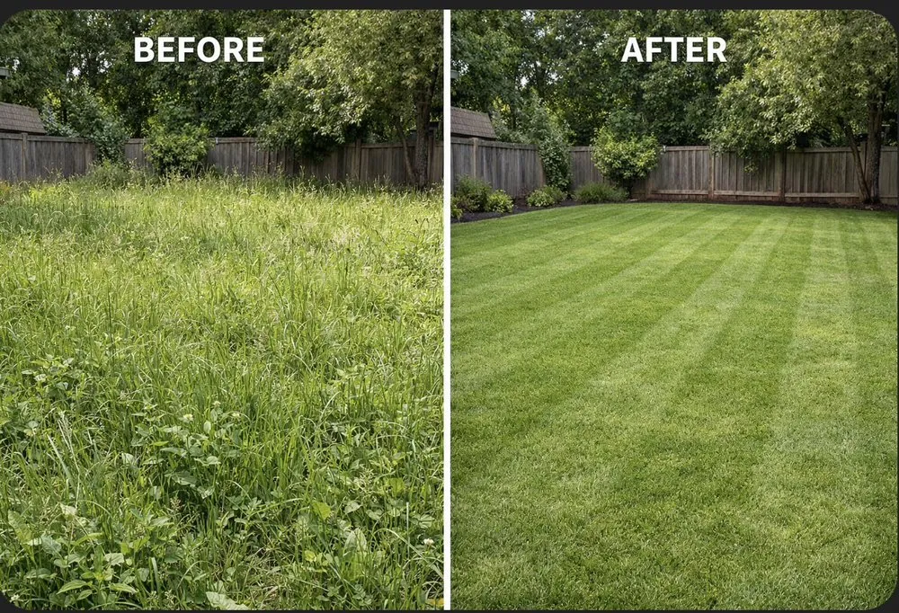 Affordable yard cleanup service near you across El Paso, TX - Junk Busters