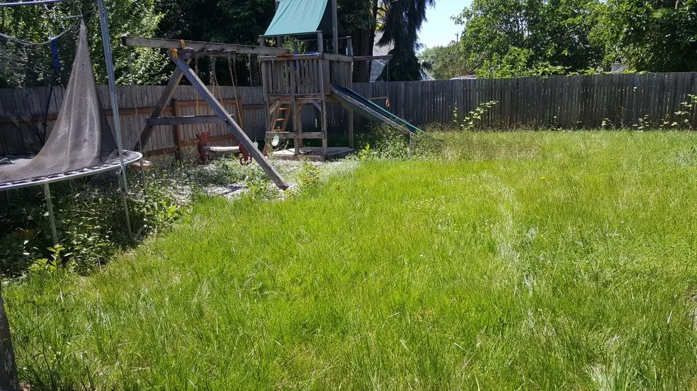 Expert yard cleanup service for year-round maintenance in Salem, OR by Junk Busters