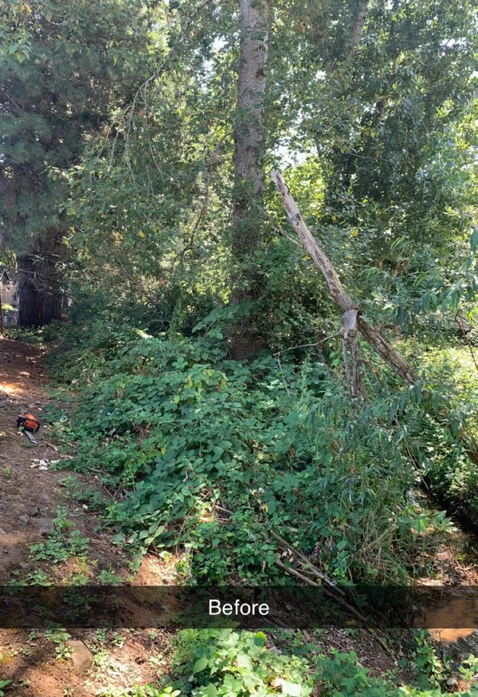 Professional residential landscaping for year-round maintenance in Salem, OR by Junk Busters