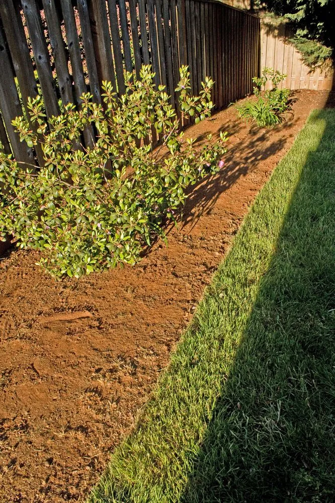 Local landscape design in Salem, OR - Junk Busters