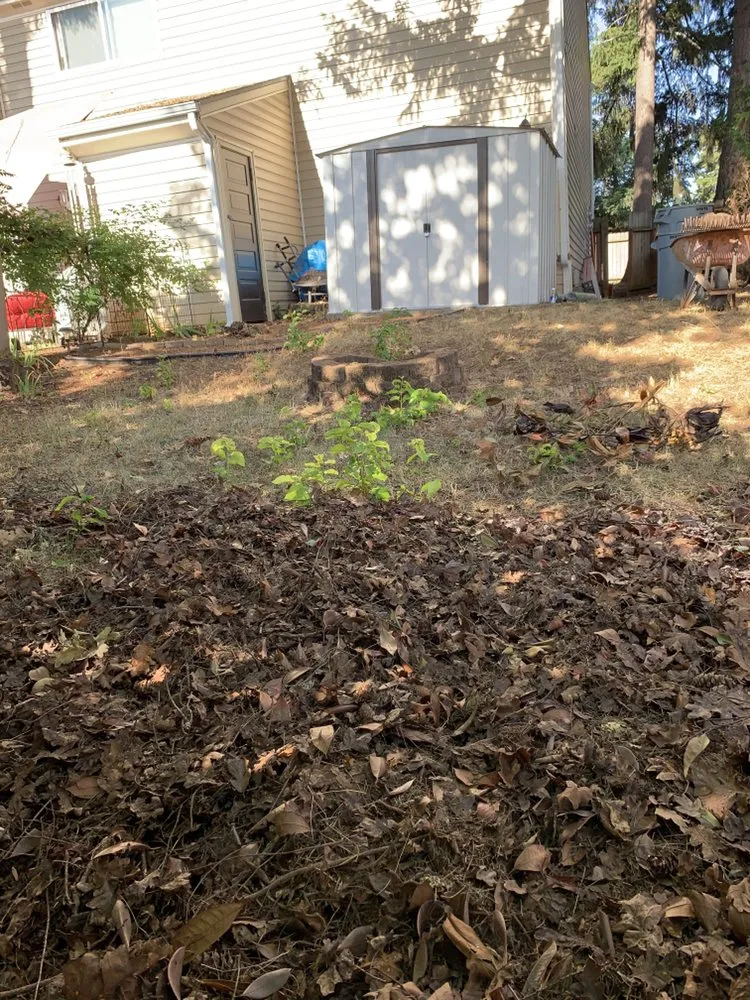 Local garden landscaping for residential properties in Salem, OR by Junk Busters