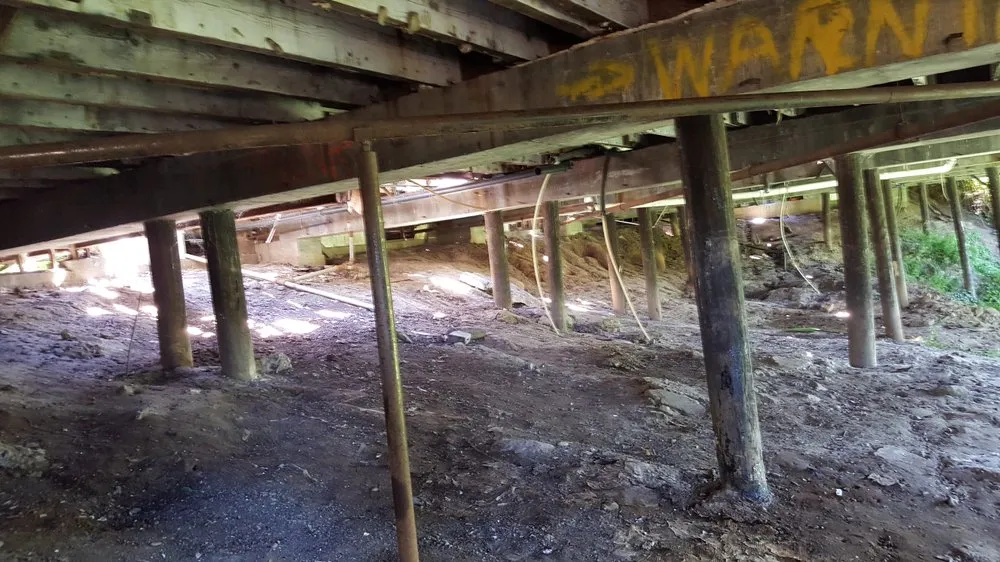 Reliable lawn care service with custom design across Salem, OR - Junk Busters