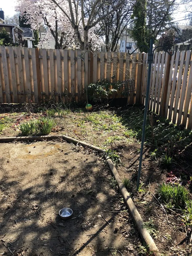 Expert yard maintenance experts serving Salem, OR - Junk Busters