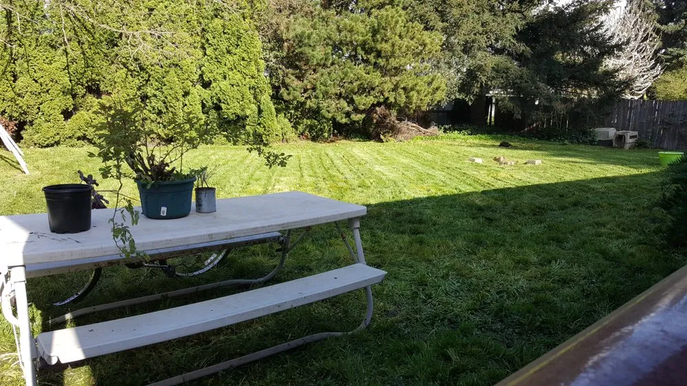 Trusted lawn care service in Salem, OR - Junk Busters