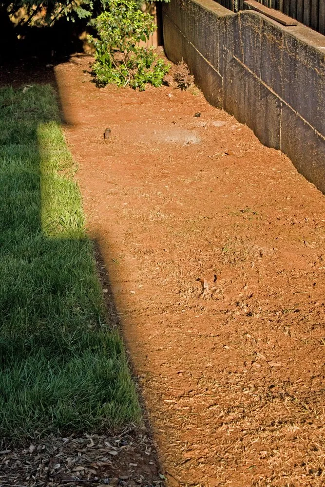 Reliable yard cleanup service in Salem, OR - Junk Busters