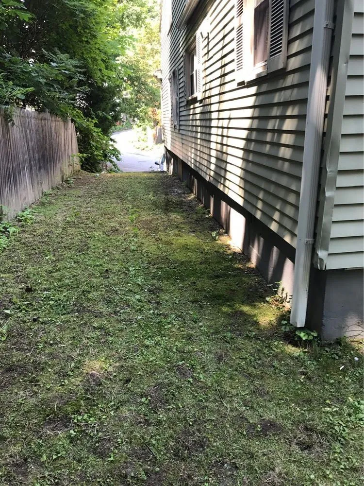 Reliable lawn care service in Lowell, MA by Junk Clean Outs