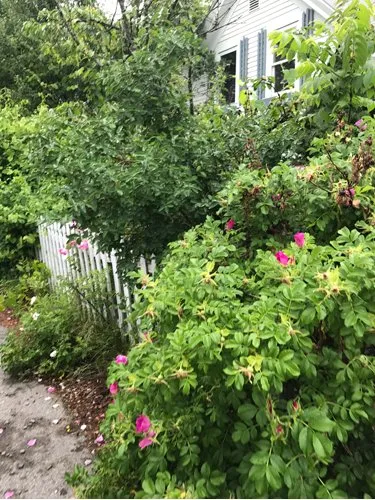 Custom landscaping services in Lowell, MA by Junk Clean Outs