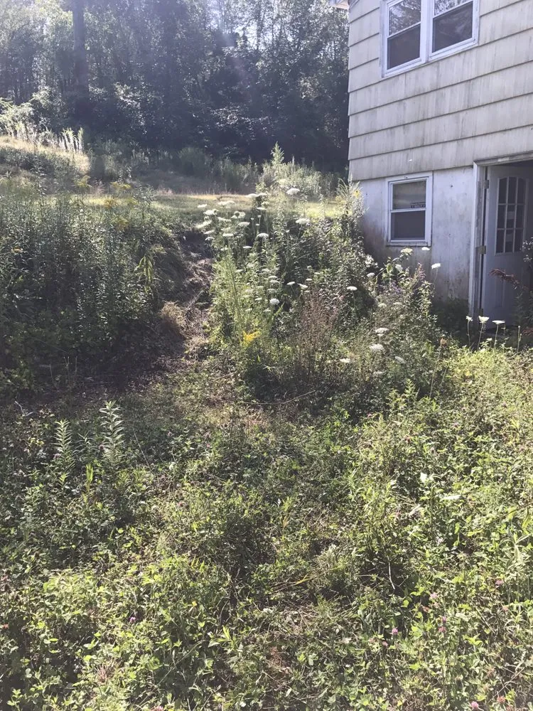 Affordable yard maintenance in Lowell, MA - Junk Clean Outs