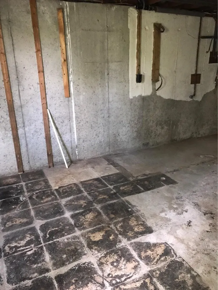 Professional lawn care service for residential properties across Lowell, MA - Junk Clean Outs