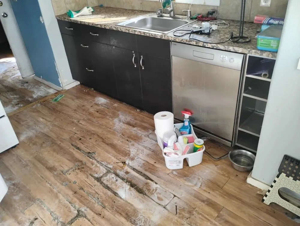 Local landscaping services near you in Monmouth, OR by Junk Genies