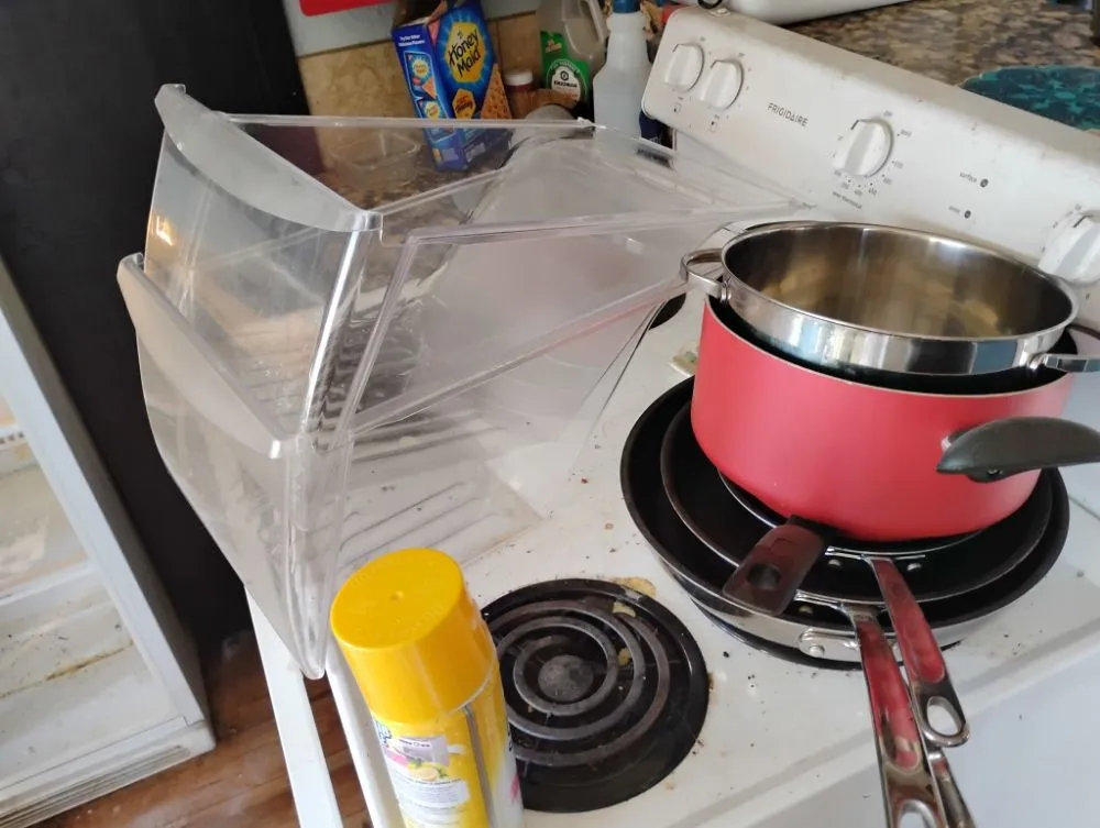 Custom lawn mowing service for year-round maintenance across Monmouth, OR - Junk Genies