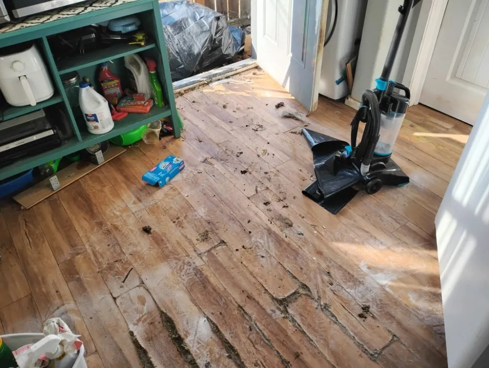 Professional residential landscaping experts serving Monmouth, OR - Junk Genies