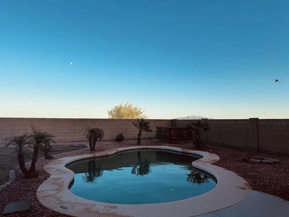 Local landscaping services for year-round maintenance across Phoenix, AZ - Junk In Junk Out Removal Services