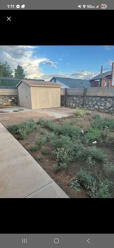 Top-rated yard cleanup service for outdoor upgrades across El Paso, TX - Junk-it