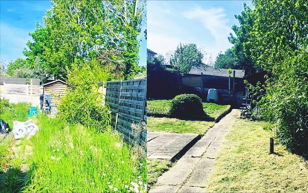 Top-rated yard cleanup service for residential properties across El Paso, TX - Junk-it