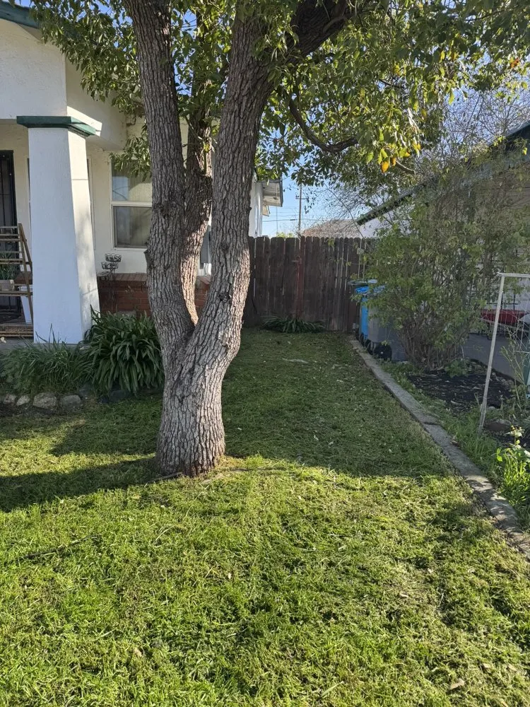 Professional landscape design for homes across Marysville, CA - Junk Jockey’s