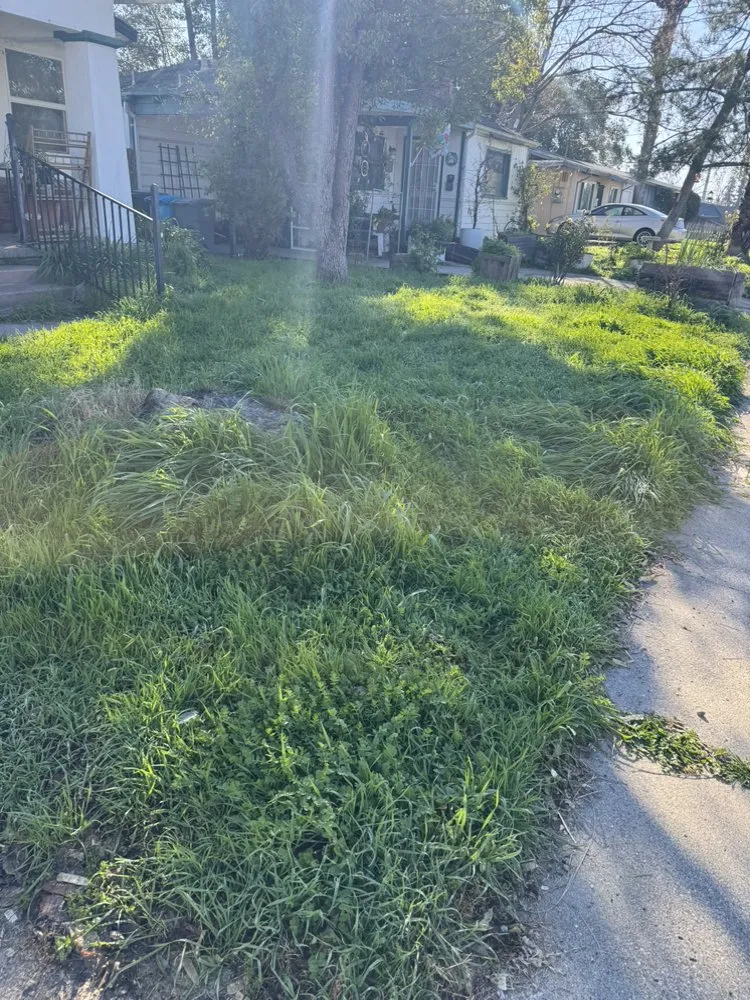 Local landscape installation in Marysville, CA by Junk Jockey’s