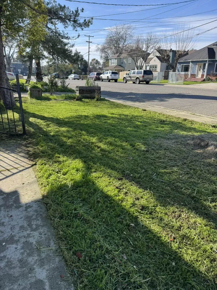 Professional lawn care service experts serving Marysville, CA - Junk Jockey’s