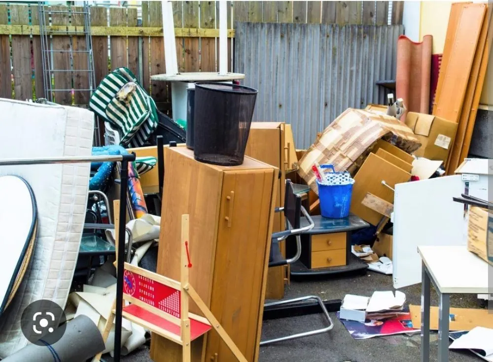 Reliable yard cleanup service experts serving Celeste, TX - Junk Monkey